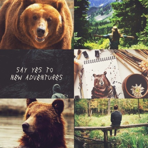 Brown Bear Patronus Aesthetic |REQUESTED| Brown Bears are feared by many people because of news that