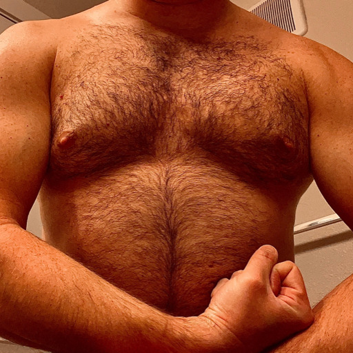 :Favorite thing?🔄 Chest❤️ Body Hair