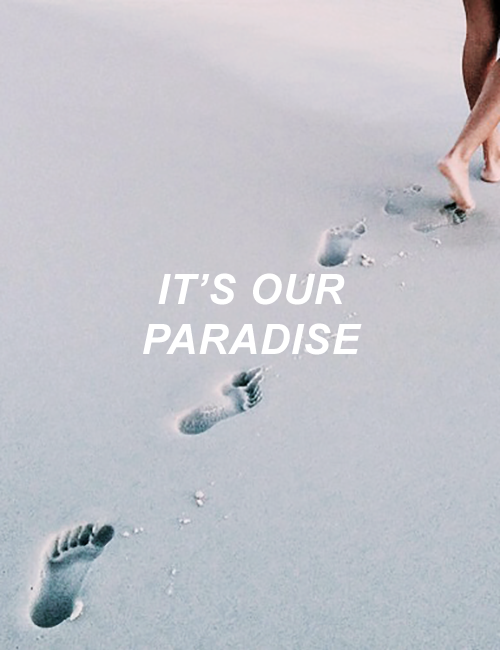 tumblr photo refocuses 0