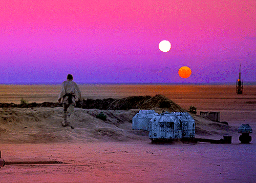 arwenevenstar:STAR WARS: A NEW HOPE1977, dir. George Lucas