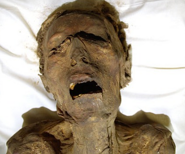 XXX sixpenceee:  Screaming mummies have been photo