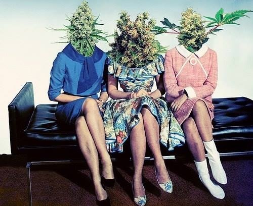 the-stoners-blog:  Stoner Supply co. Weed Socks, Hats,Beanies & More! Store // Facebook // Instagram