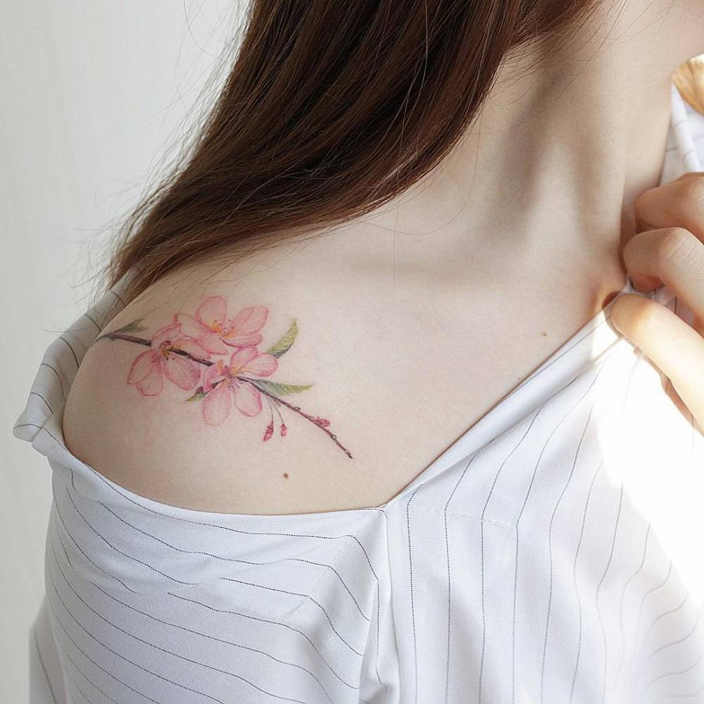 cutelittletattoos:  Illustrative style cherry blossoms on the right shoulder. Tattoo