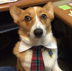 Awwww-Cute:  My Sister Is The Only One Working In Her Office Today, So She Brought