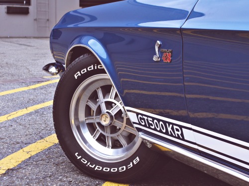 coffeeandspentbrass:  theoldiebutgoodie:  1968 Shelby Mustang GT500KR  Oh good god, it’s back. 
