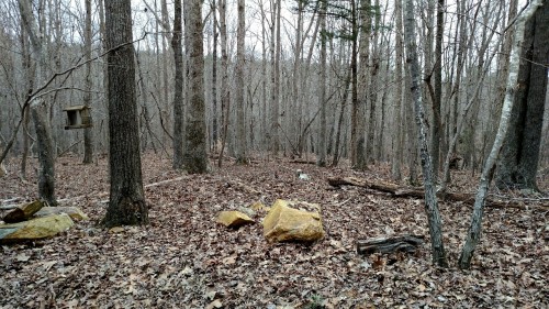 misadventured-piteous-overthrows: continent-of-wild-endeavor: misadventured-piteous-overthrows: Spen