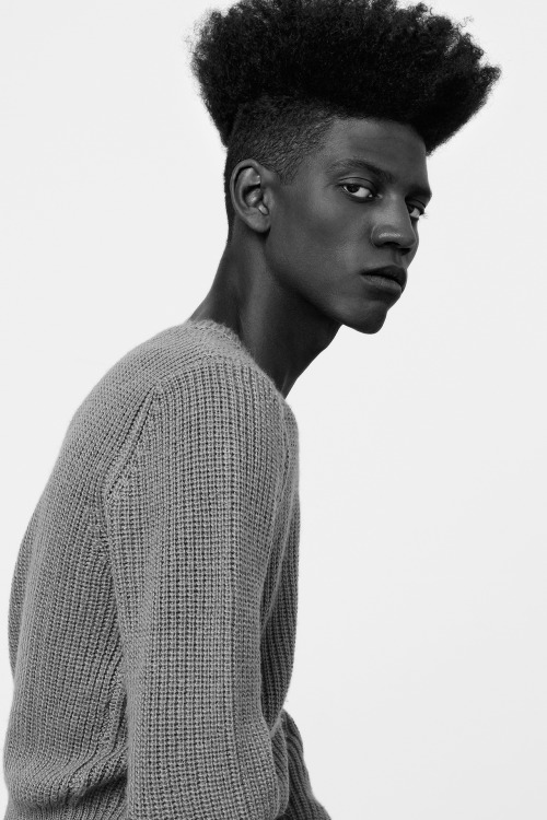 Photographed By Balint Barna