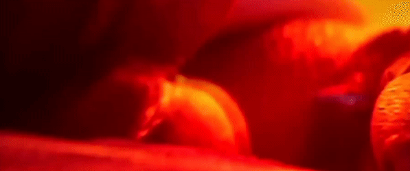 4369e19e66ce1aaac7b3b5a7b613715022221fb2.gifv