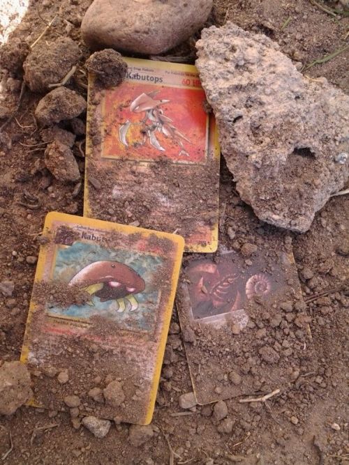 trainerdaniels-pokeblog: Mysterious Fossils