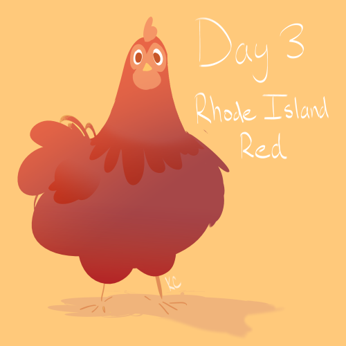 kastiasketches: Chicken A Day Challenge: Day 3 - Rhode Island Red As you can see, this one is a litt