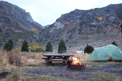 nuhstalgicsoul: Camping in Mammoth was pretty incredible