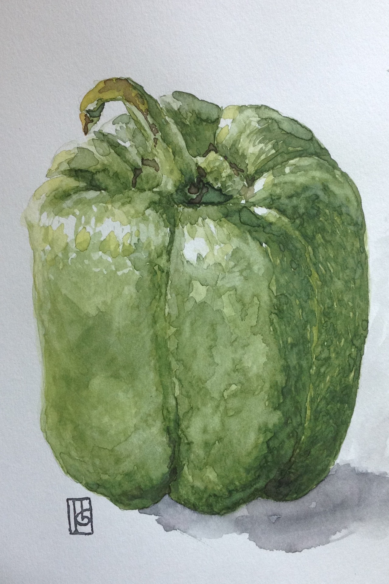 Bell Pepper Just another watercolor practice I made the other day. Man I feel very