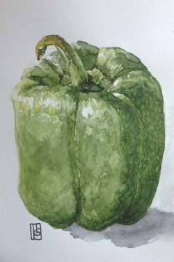 Bell Pepper Just Another Watercolor Practice I Made The Other Day. Man I Feel Very