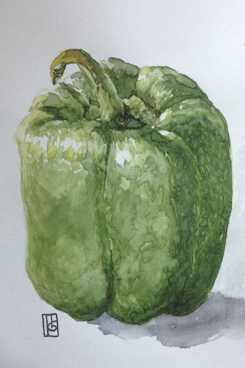 Bell Pepper Just another watercolor practice I made the other day. Man I feel very uninspired… I hope I get to draw something else more often.  