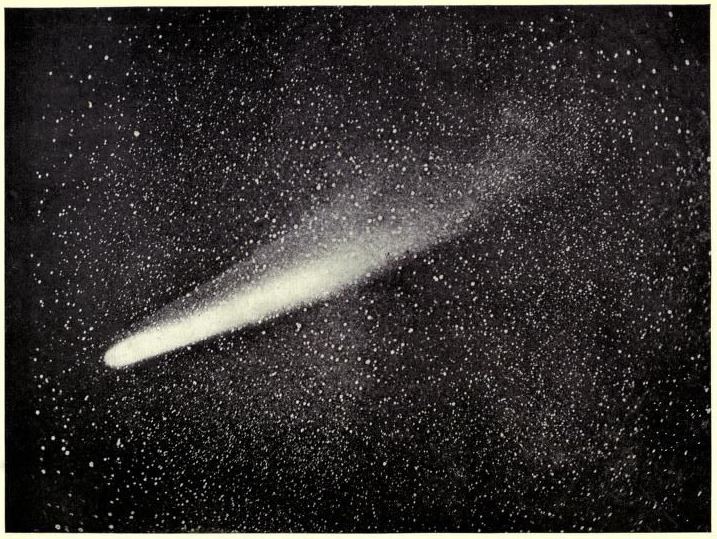 nemfrog: Plate LX. The Great Comet of 1882, as photographed at the Royal Observatory,