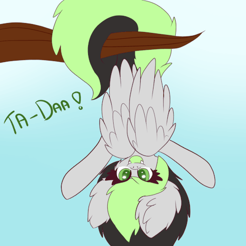 askbreejetpaw:  Reblog this with a ref for a chance to get featured in todays update!
