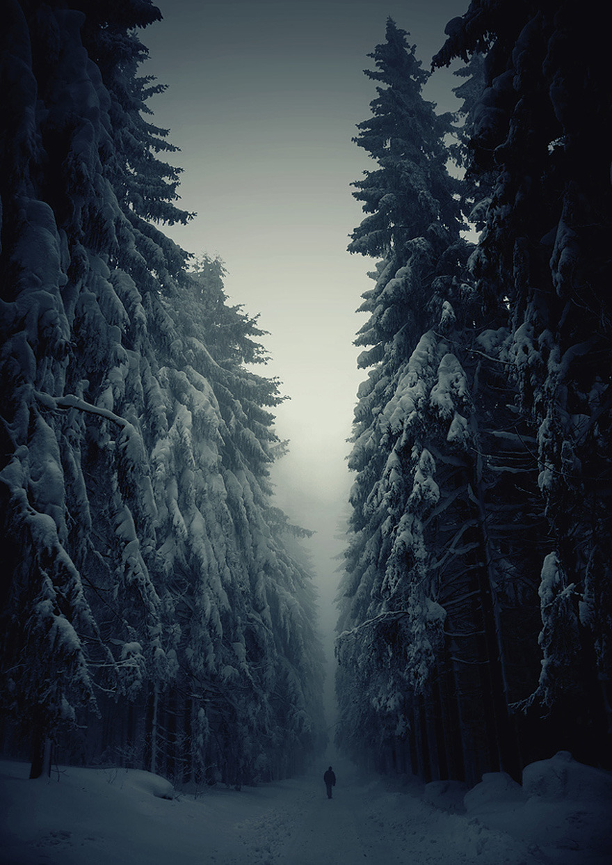 odditiesoflife:  Winter Wonderland Winter can be as beautiful as it is frigid –