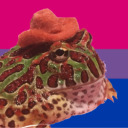 froggygender avatar