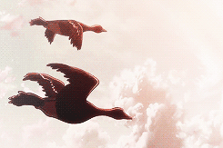 kiryuun-blog:  &ldquo;Let us meet again outside of these walls to someplace unwritten.&rdquo;