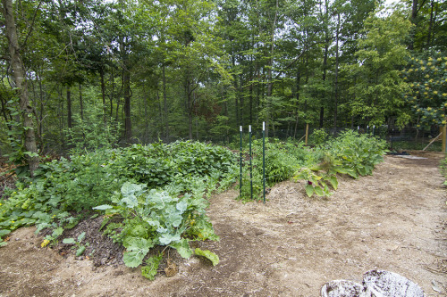 awildholler:Garden of Eating