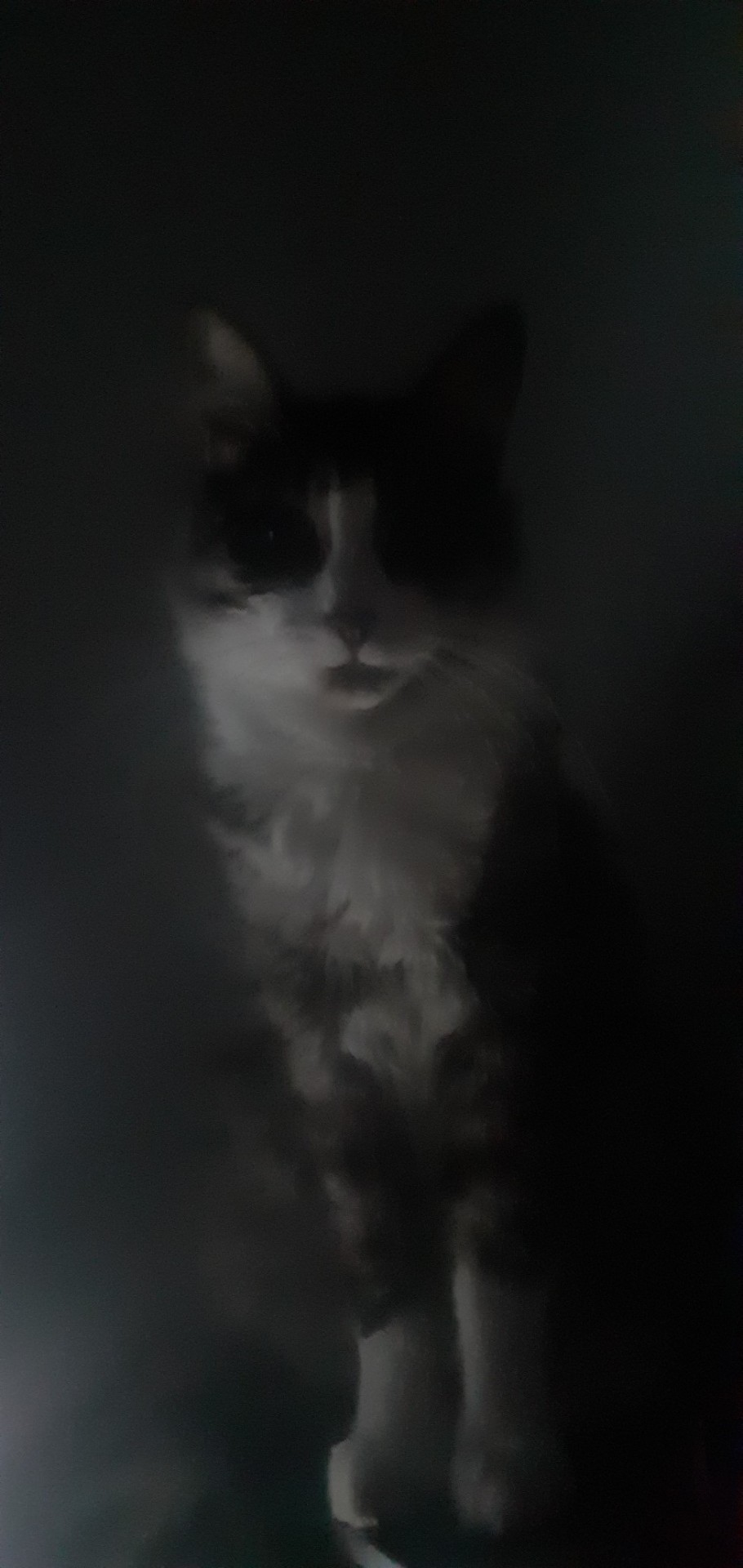 Someone I Know Told Me They Were Scared Of Him, Didn't See Why Until Now, The Photos Aren't Even Edited