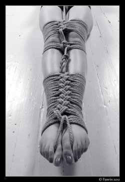 Shibari Art Only