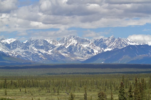 highways-are-liminal-spaces: Views of the northern Alaska Range, along the Denali HighwayTaken June 