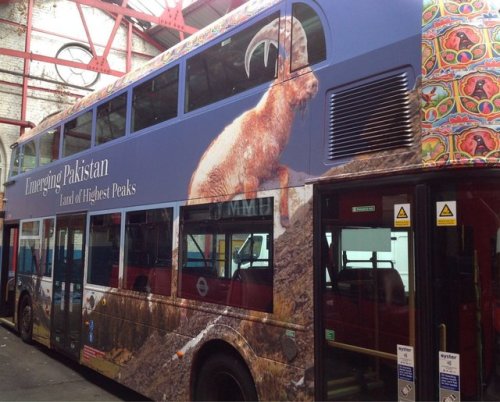  Double-Decker buses in London showing colours of Emerging Pakistan. 