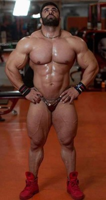 musclebull23:  