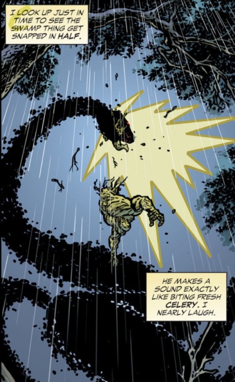 “I look up just in time to see the Swamp Thing get snapped in half. He makes a sound exactly l