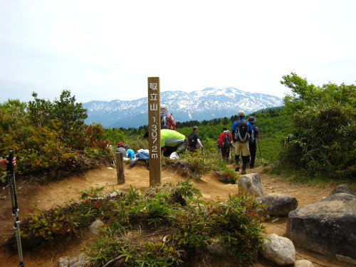 20150523取立山（Mt.Toritate、標高1,307.2m）予定では敦賀の西方ケ岳と蠑螺ケ岳に登って「北陸のハワイ」と云われている水島でも眺めてみようかなと思っていたが、ちょっと寝坊したのと