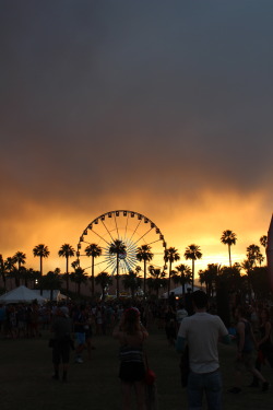 adeangelis:Coachella ‘14 (Weekend 2)