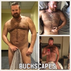 sepacskcub: bearsutdmag:  Feature @buckscapes