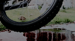 peletiersdixon:  That’s what it’s like out there? How do you just live knowing