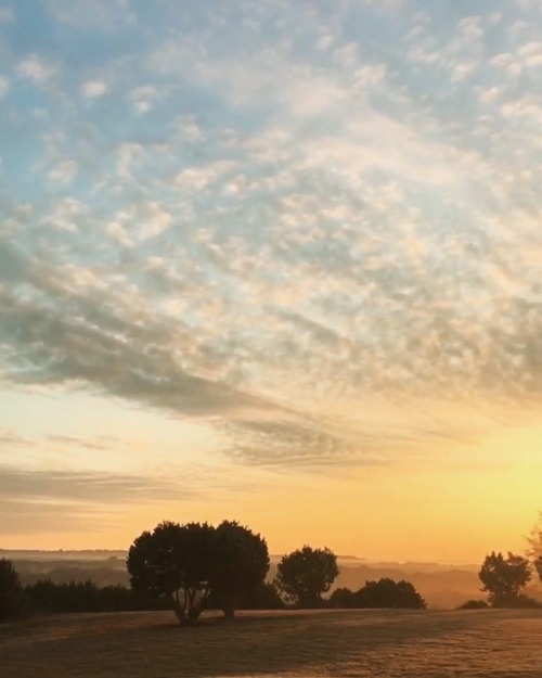 Sunset www.instagram.com/thefestivefarmhouse