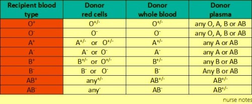 Blood Compatibility - finally put it together!