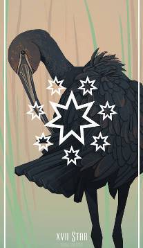 The Star card in Birds Tarot by Fiona Marchbank