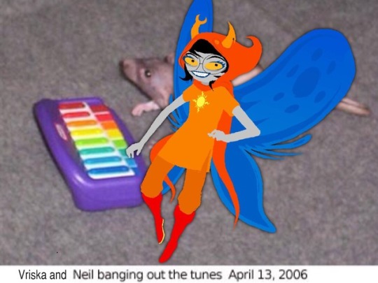Tumblr media