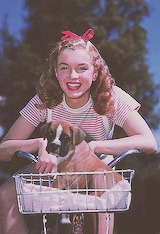 tumblr photo readwithlipstick 2