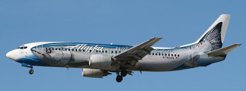 a 737 plane with a salmon painted along the side