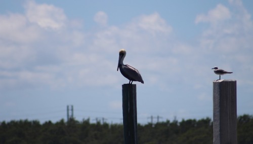 Miami, FL, April 2018