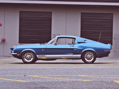 coffeeandspentbrass:  theoldiebutgoodie:  1968 Shelby Mustang GT500KR  Oh good god, it’s back. 