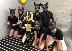 max-ateka:  kinkyboyfrance:Poro’s birthday party with the pack!Muzi, Sony, Ymus, Attis, Sigma. Such a great and sunny weekend in good company. @puppysigma , @kinkyboyfrance and all their friends had a good time at the @poropuppy’s birthday party.