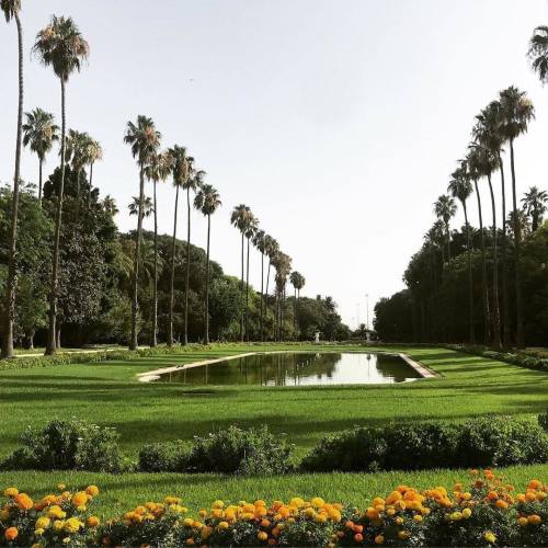 Hamma Garden, Algiers