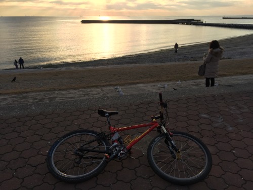 xizang325:  2016/12/3  病み上がり  可愛いおねえさんがカモメにエサをあげていた。思わず横からカモメより先にエサをかっさらってやろうかと思った・・・←ﾊﾞｶ