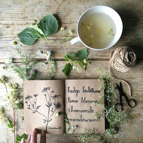lanaistrash:Witchy aesthetics
