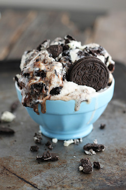 gastrogirl:  cookies and cream oreo fudge ice cream.