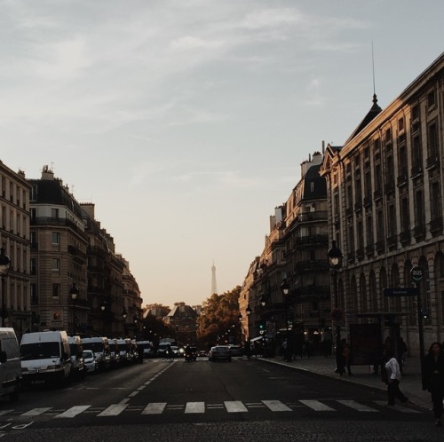 scuhlly:Some shots of Paris I took back in October