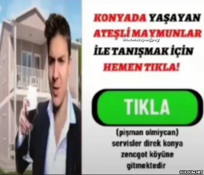 KONYADA YAŞAYAN ATEŞLİ...