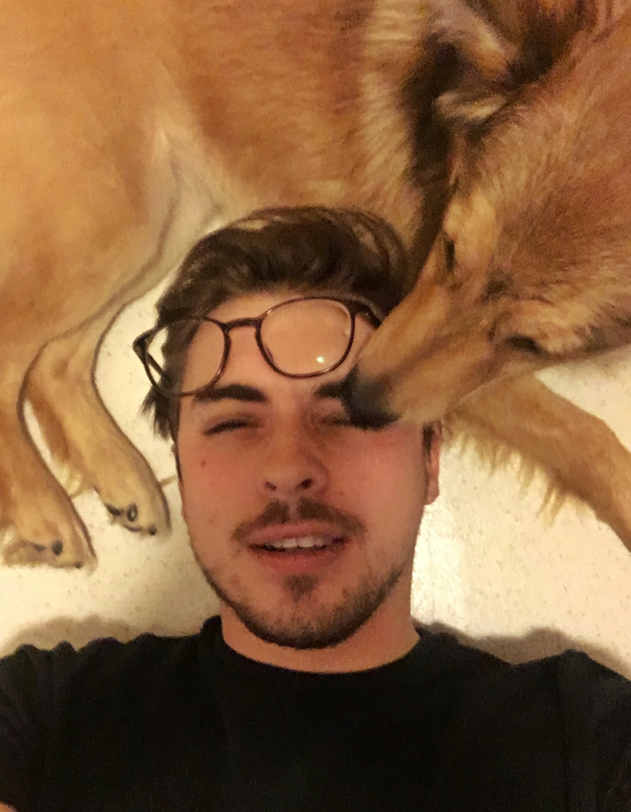 shenanigreat:  Filed under: ‘dog selfies are difficult’ 